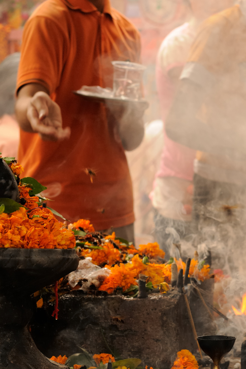 VIAJE A INDIA