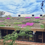 retiros de yoga girona