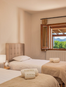 Captura de pantalla 2025-09-29 163749