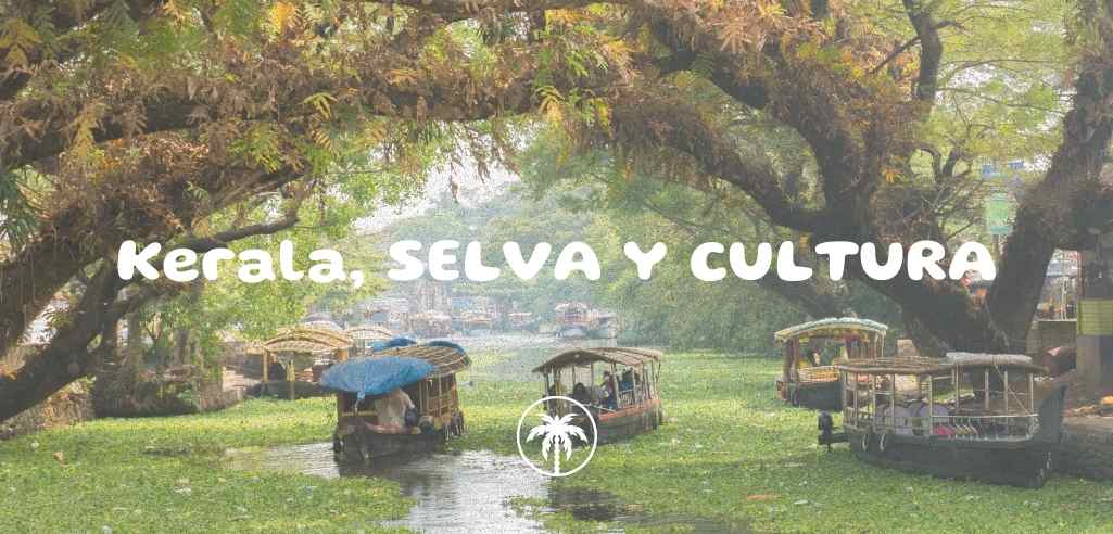 retiros de yoga en india