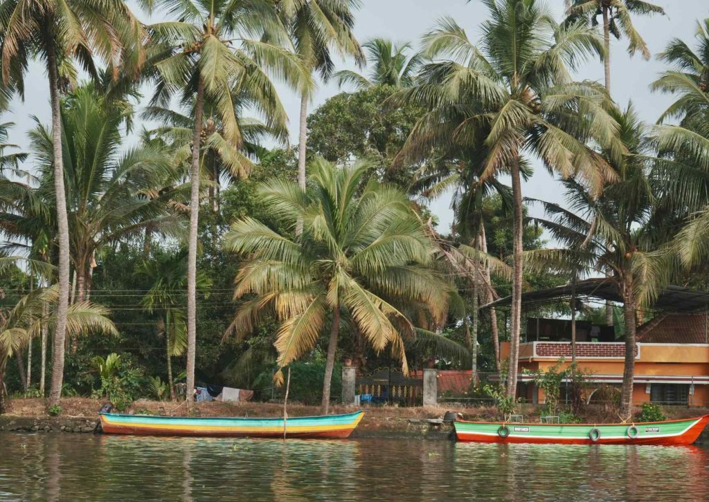 retiro de yoga en india