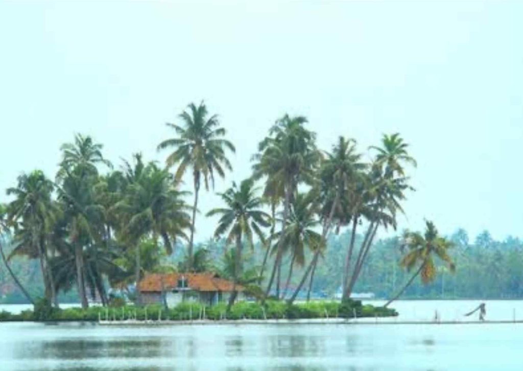 retiro de yoga en india