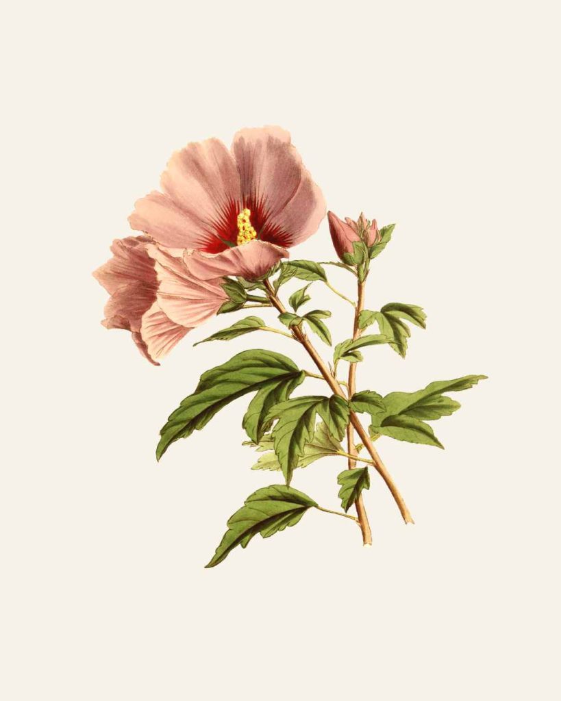 detalles de nuestro taller de escritura terapeutica