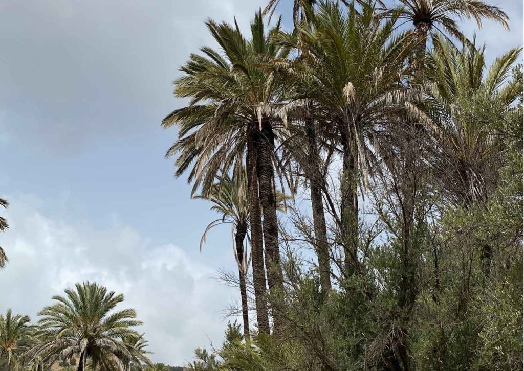 oasis paradaise valley marruecos