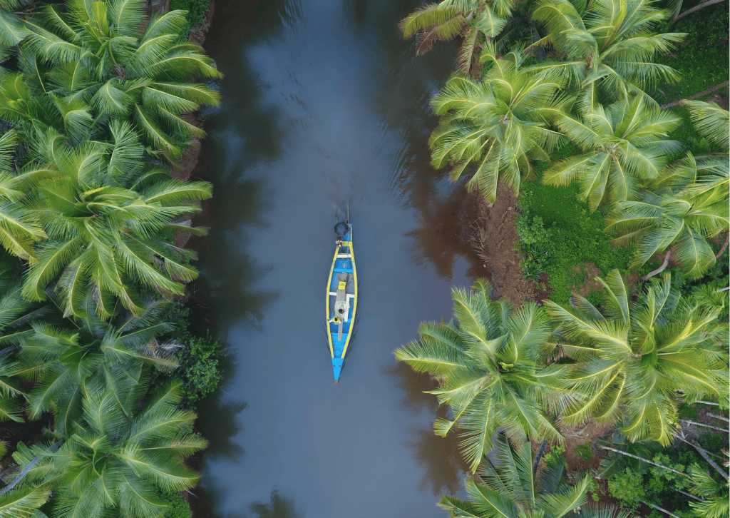 viaje a la india, kerala