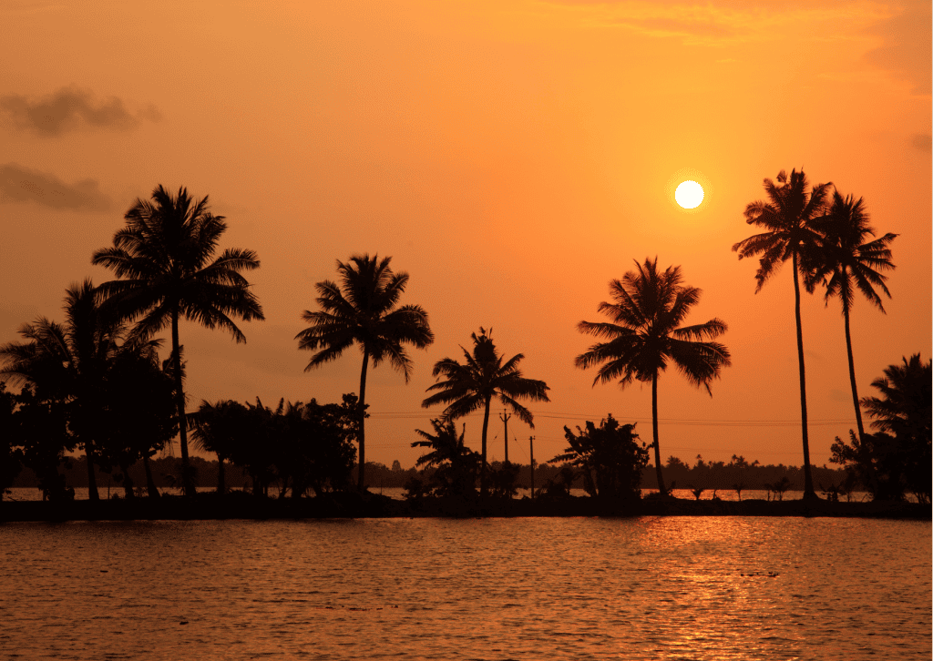 viaje a kerala, india