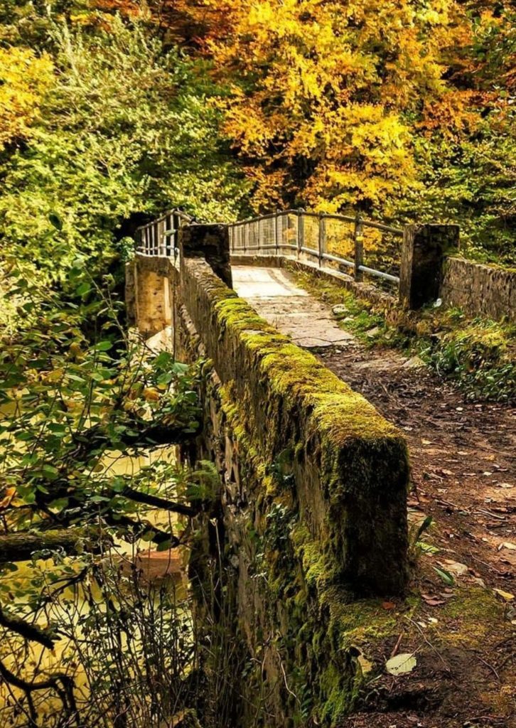 RETIRO DE YOGA EN NAVARRA